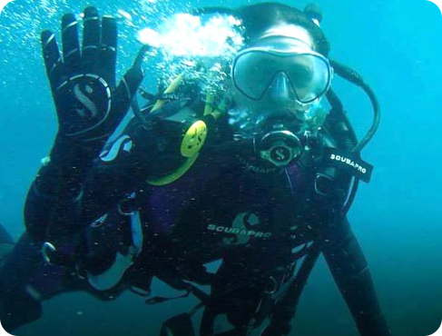 Abrolhos Diving