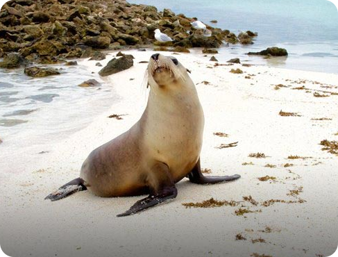 Abrolhos Eco Tours