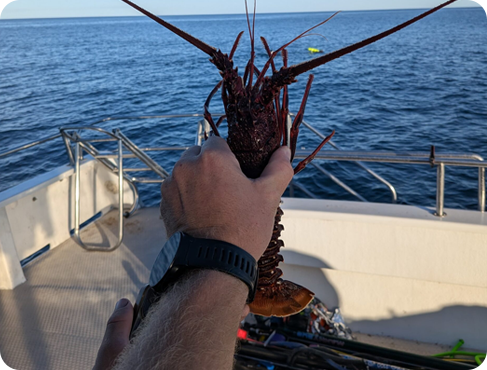 Perth Island Charters